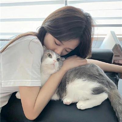 剧集连播