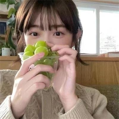 豹